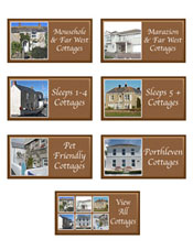 Website Navigation